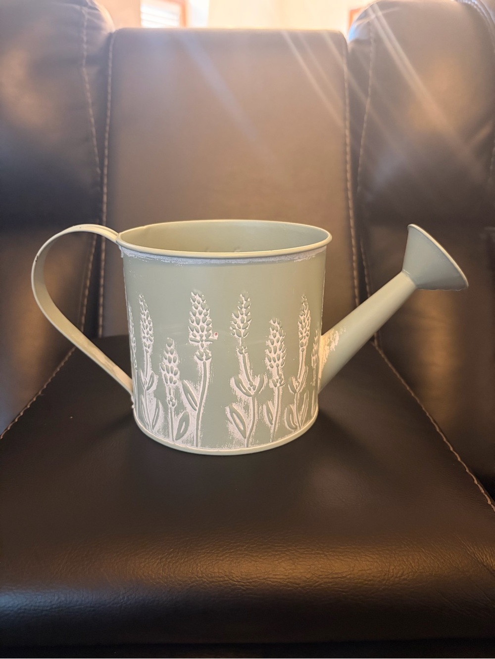 Decorative Green Metal Watering Can with Botanical Relief